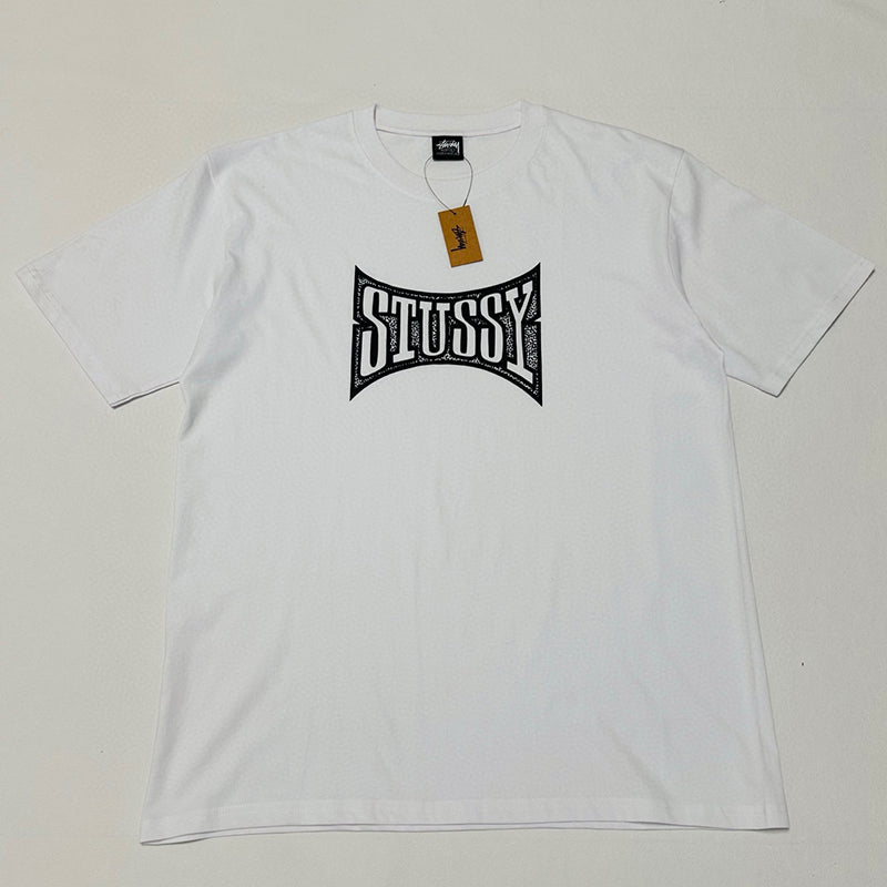 Stussy Champion T-Shirt | White