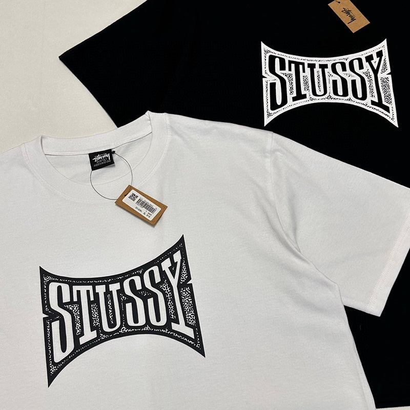 Stussy Champion T-Shirt | White