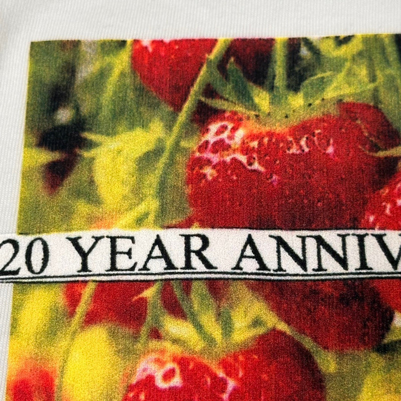 Supreme 20th Anniversary Box Logo Tee