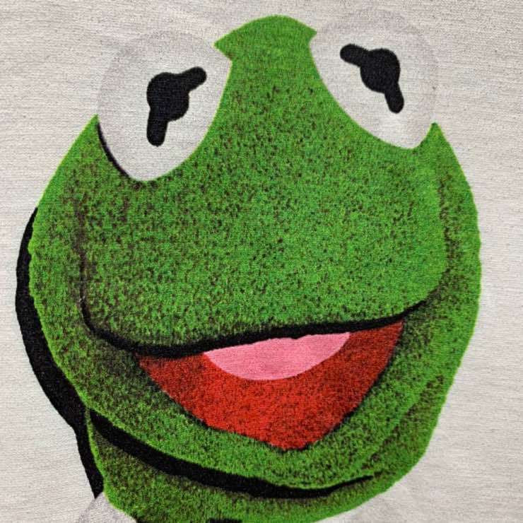 Supreme Kermit Photo Tee Black