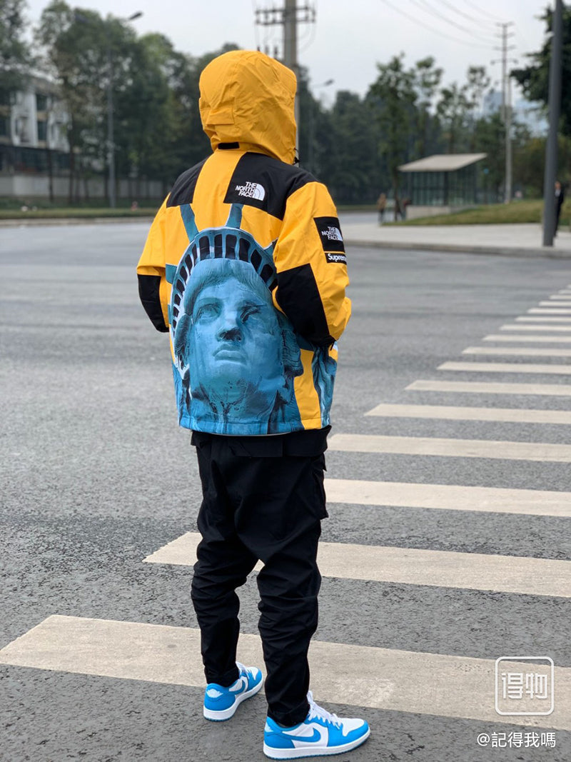 Supreme The North Face Statue of Liberty Mountain Jacket Black