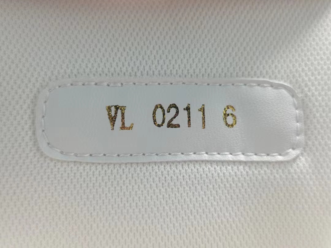Louis Vuitton Trainer White Blue Signature
