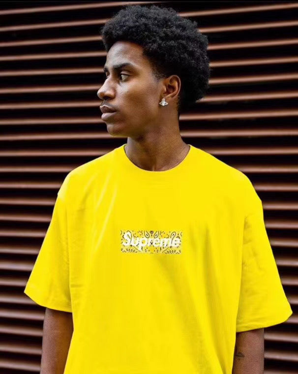 Supreme Bandana Box Logo Tee