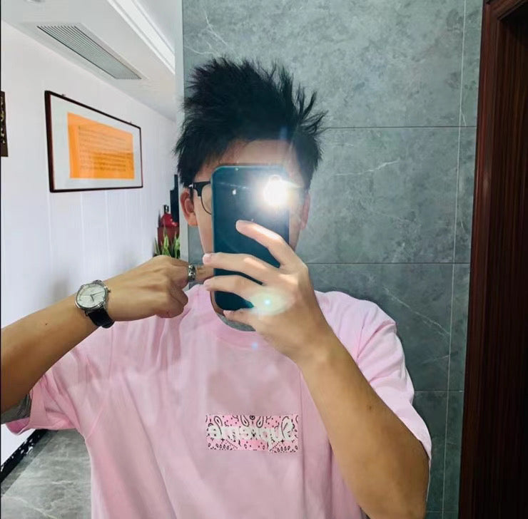 Supreme Bandana Box Logo Tee