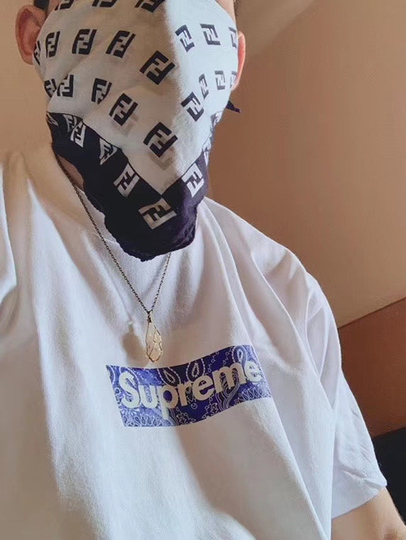 Supreme Bandana Box Logo Tee