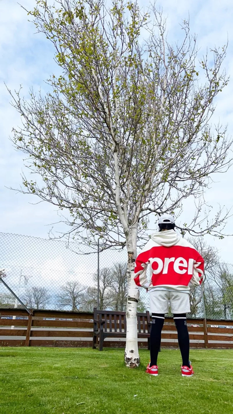Supreme Big Logo Hooded Sweatshirt White