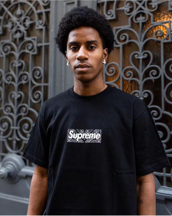 Supreme Bandana Box Logo Tee