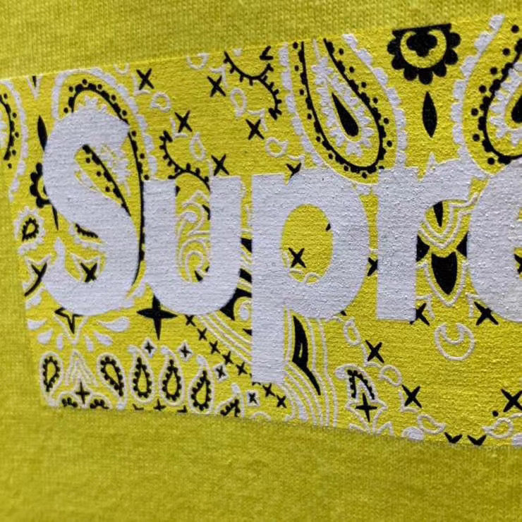 Supreme Bandana Box Logo Tee