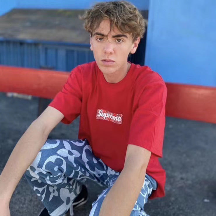 Supreme Bandana Box Logo Tee