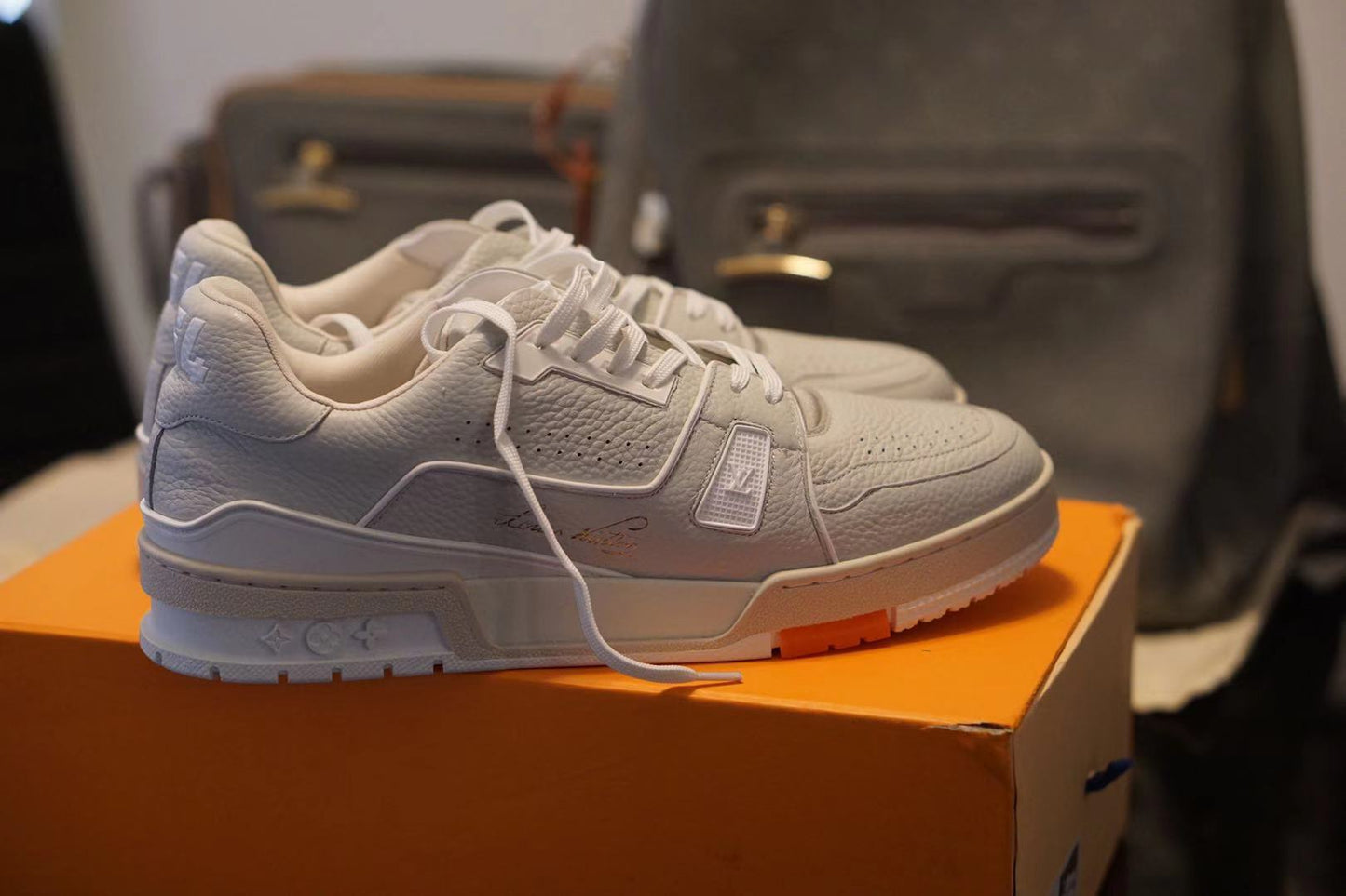 Louis Vuitton Trainer Low Top Grey