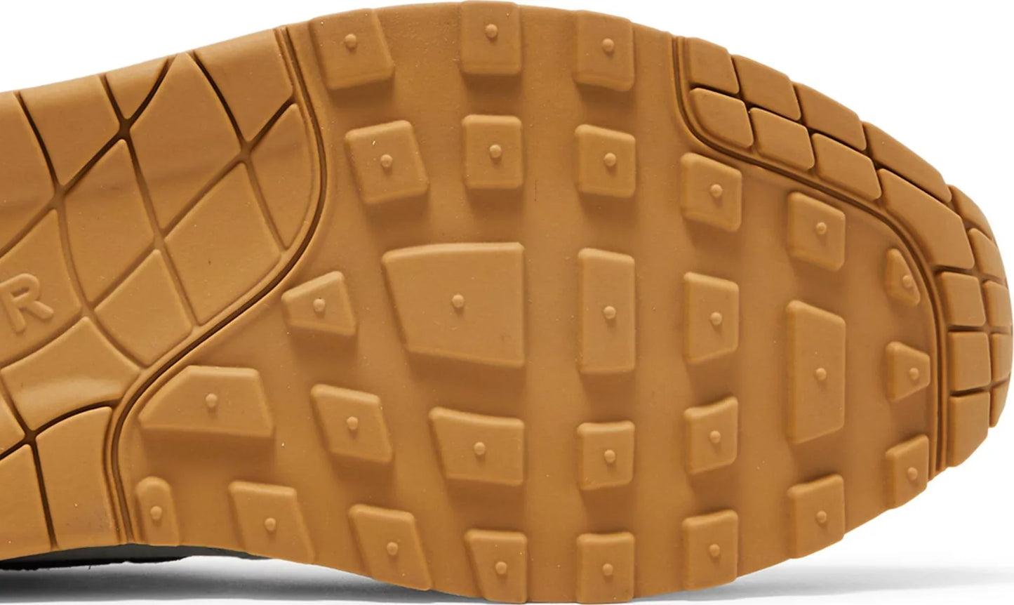 Nike Air Max 1 SP Concepts Heavy