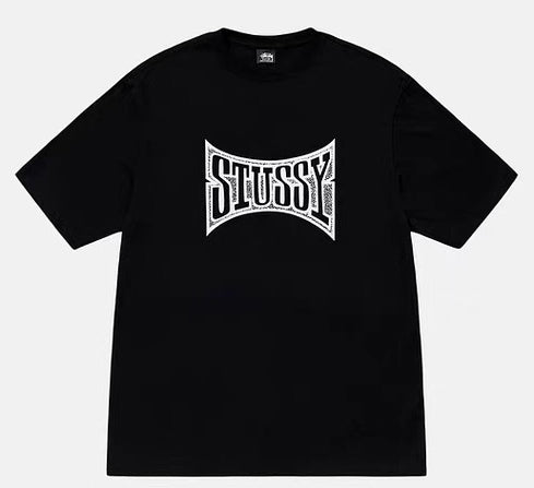 Stussy Champion T-Shirt | Black