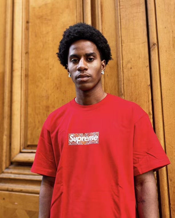 Supreme Bandana Box Logo Tee