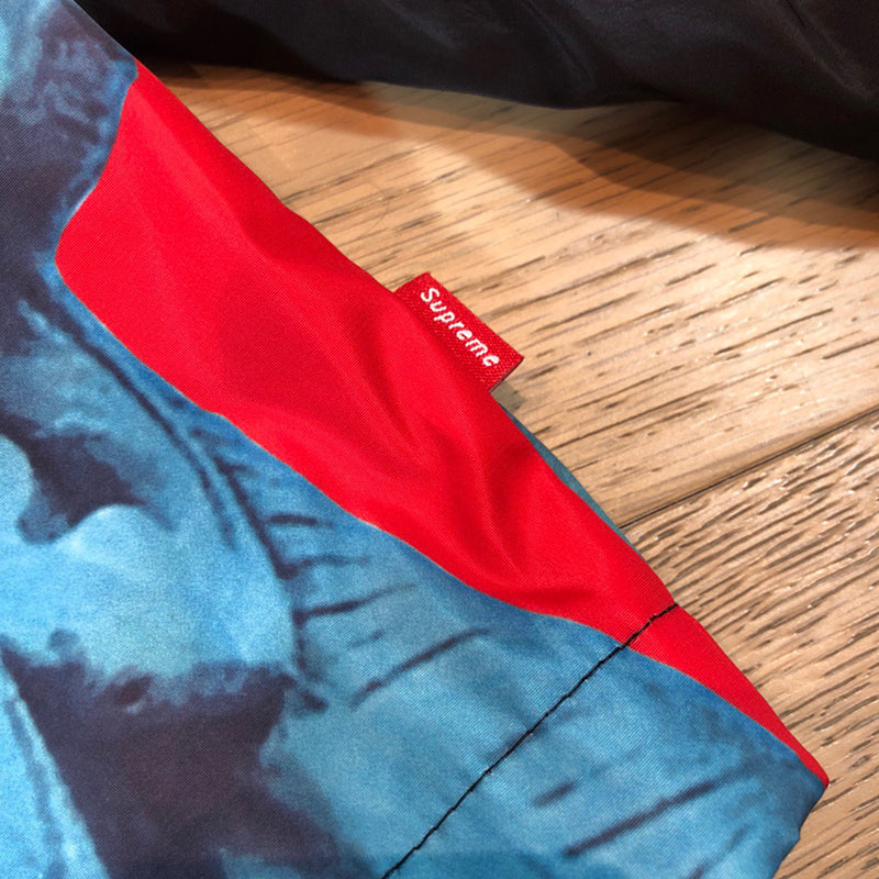 Supreme The North Face Statue of Liberty Mountain Jacket Red