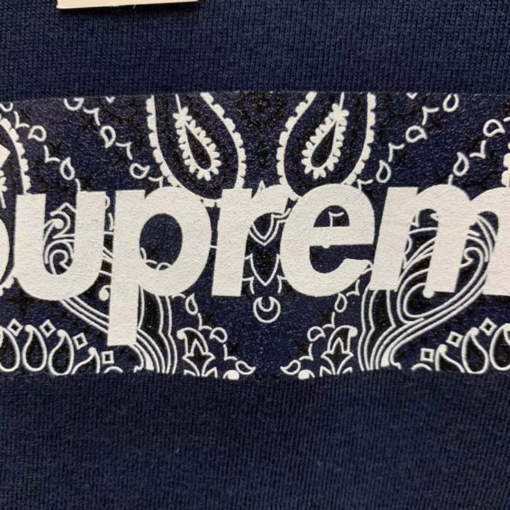 Supreme Bandana Box Logo Tee