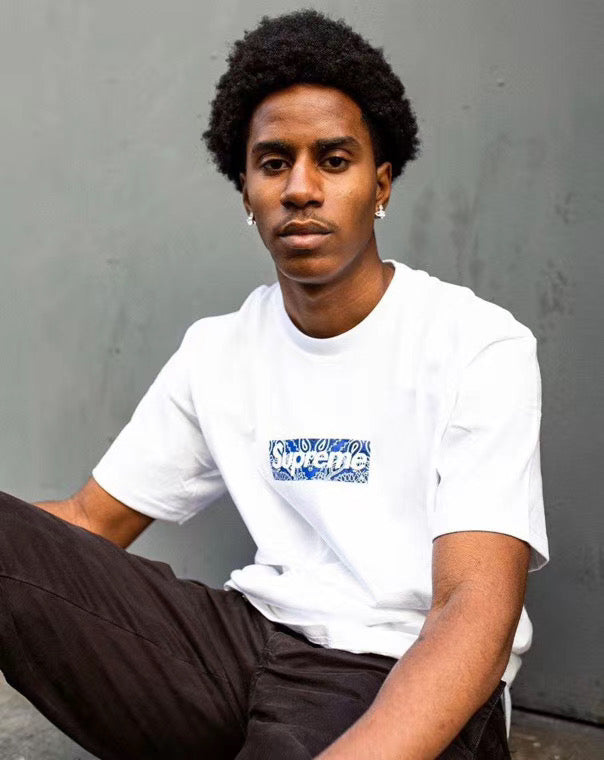 Supreme Bandana Box Logo Tee