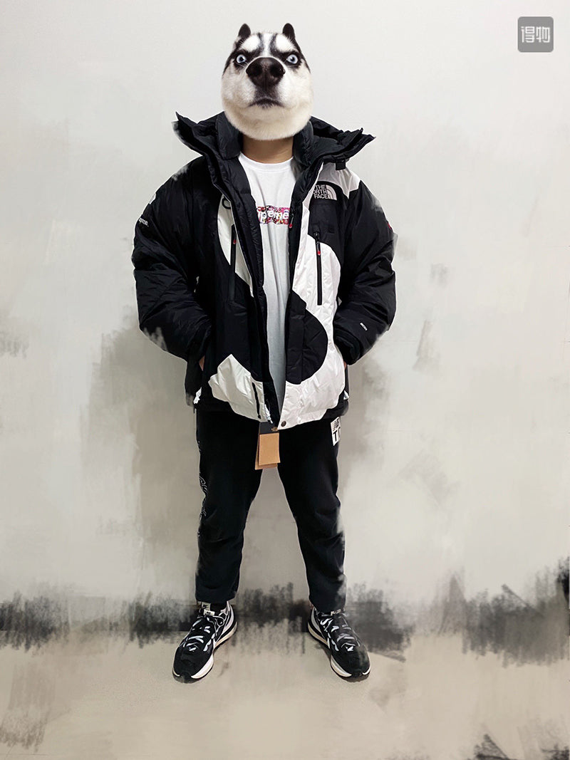 Supreme The North Face S Logo Summit Series Himalayan Parka BLACK
